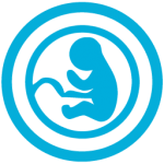calcul croissance du foetus